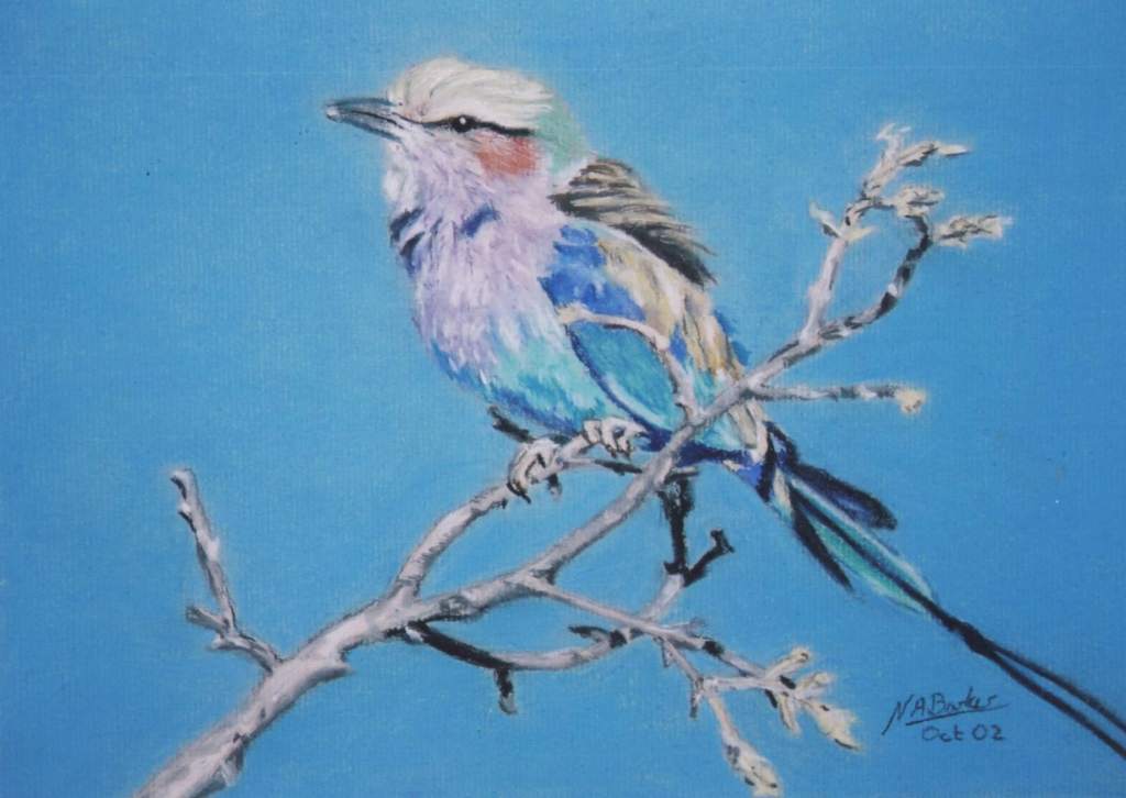 Lilac Breasted Roller - Pastel - £Sold